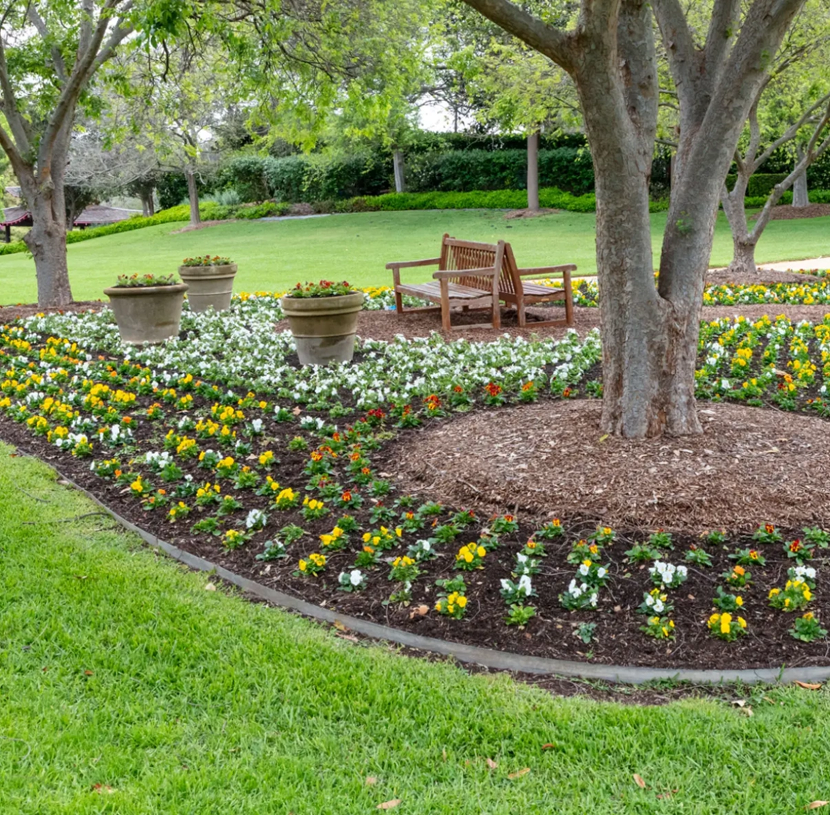 Park bench surrounded by blooming flowers