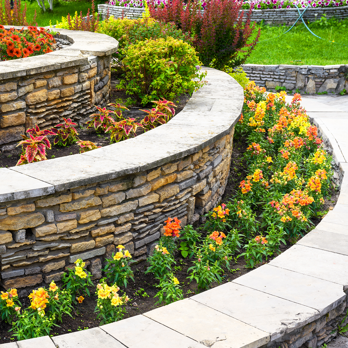 Terraced garden with vibrant blooms