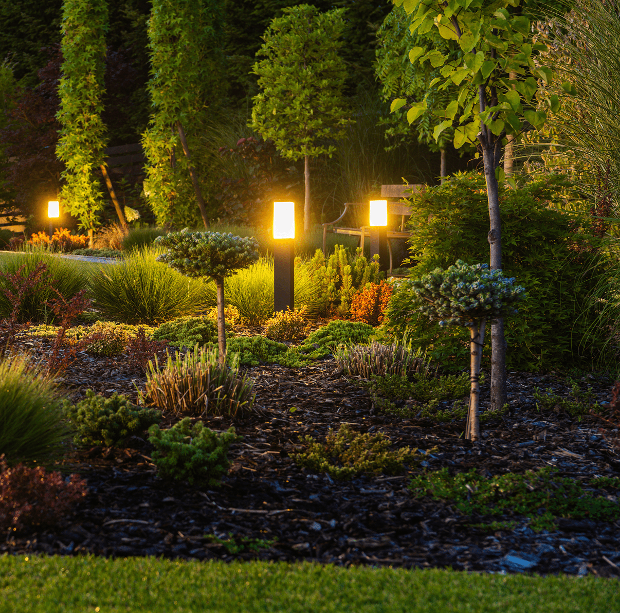 Evening garden scene with path lights