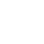 Flower pot with three flowers icon