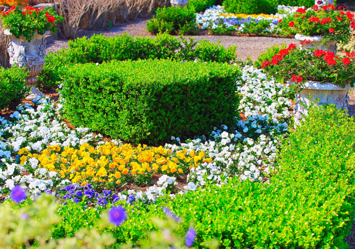 Colorful garden with vibrant flowers