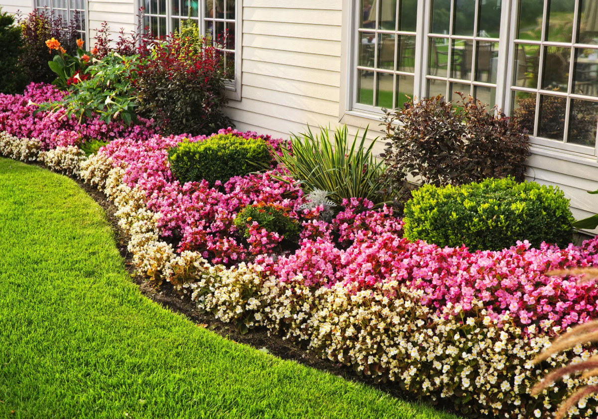 Vibrant flower bed along home exterior