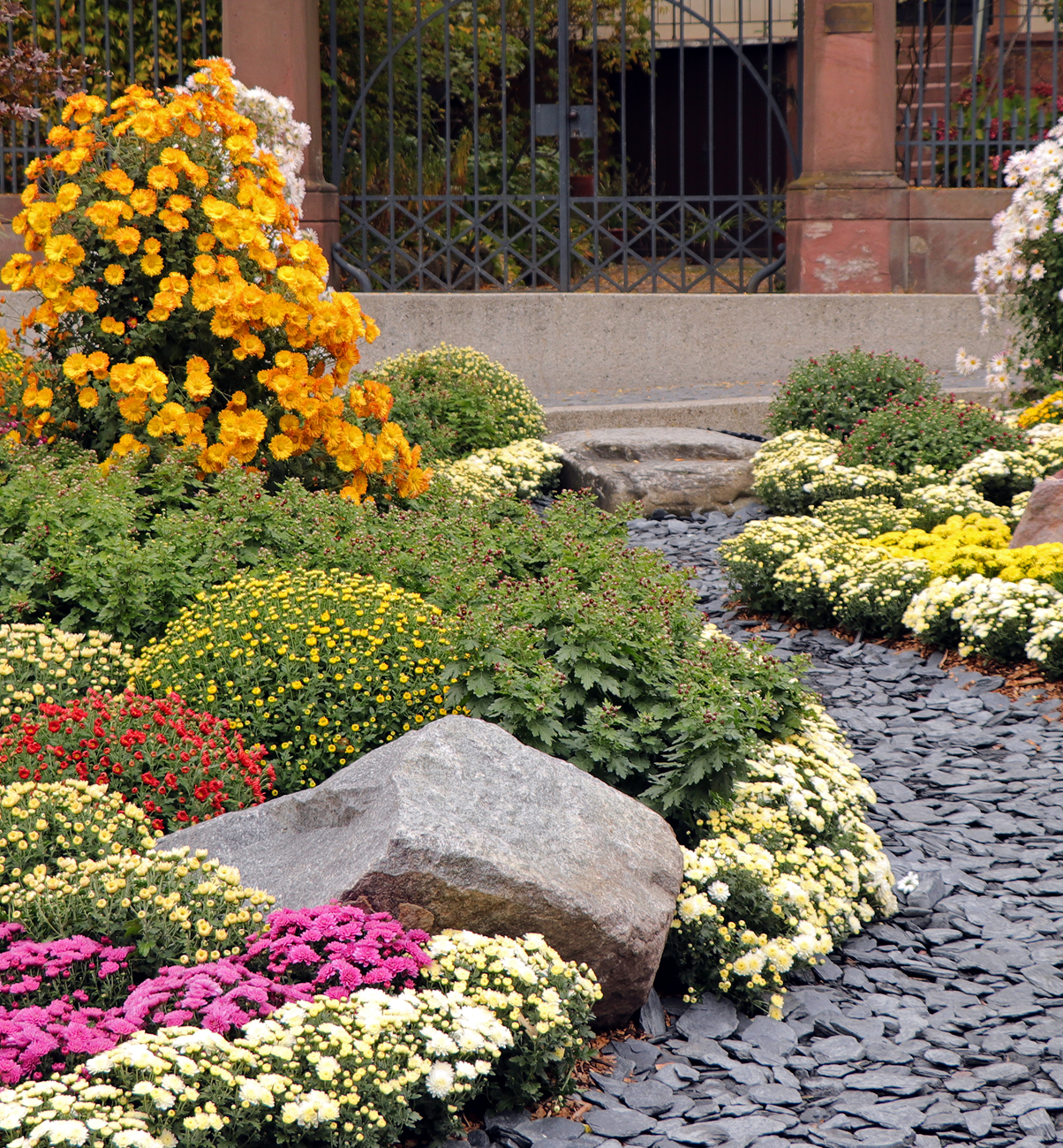Vibrant flower garden and stone path