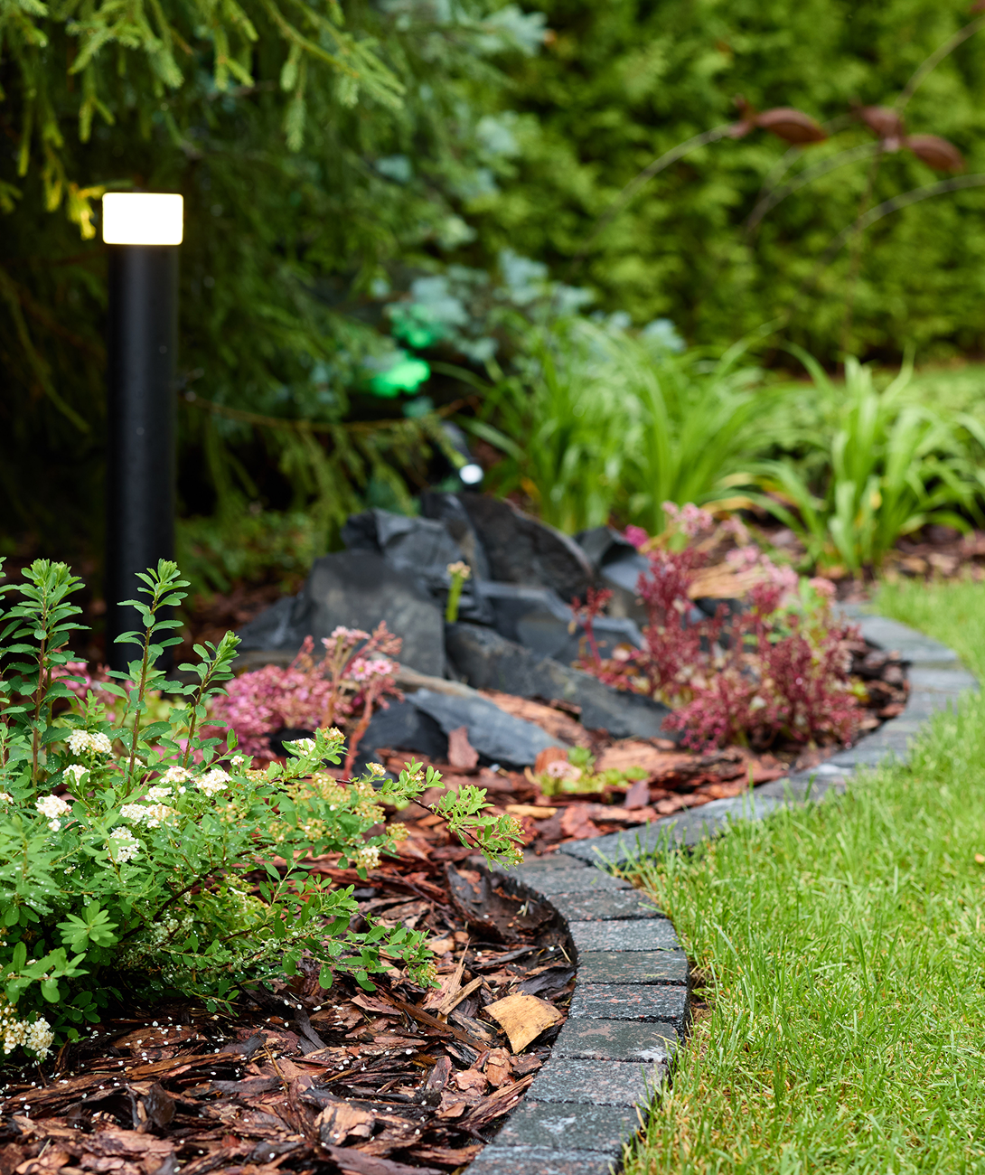 Garden path with decorative plants