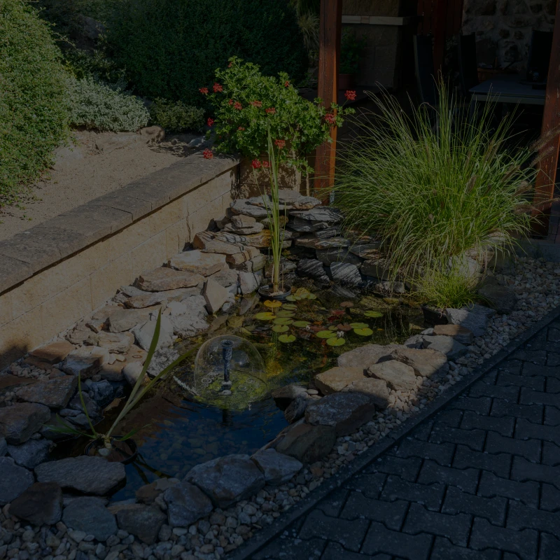 Garden pond with rocks and plants