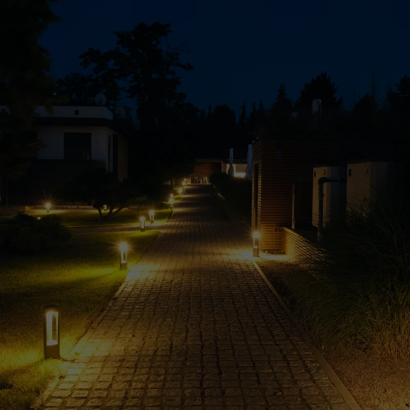 Pathway illuminated by garden lights at night