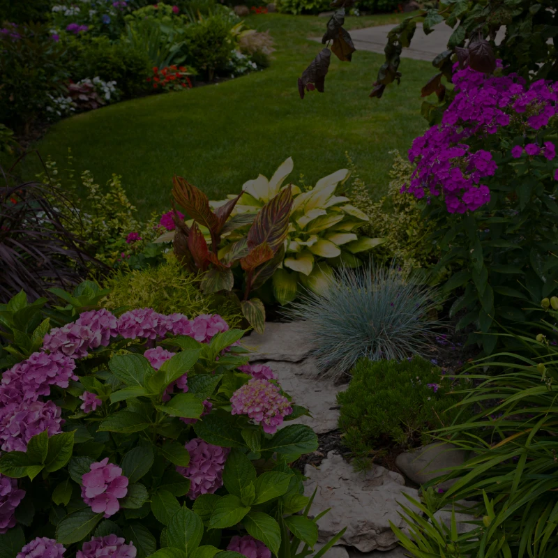 Vibrant garden with colorful flowers