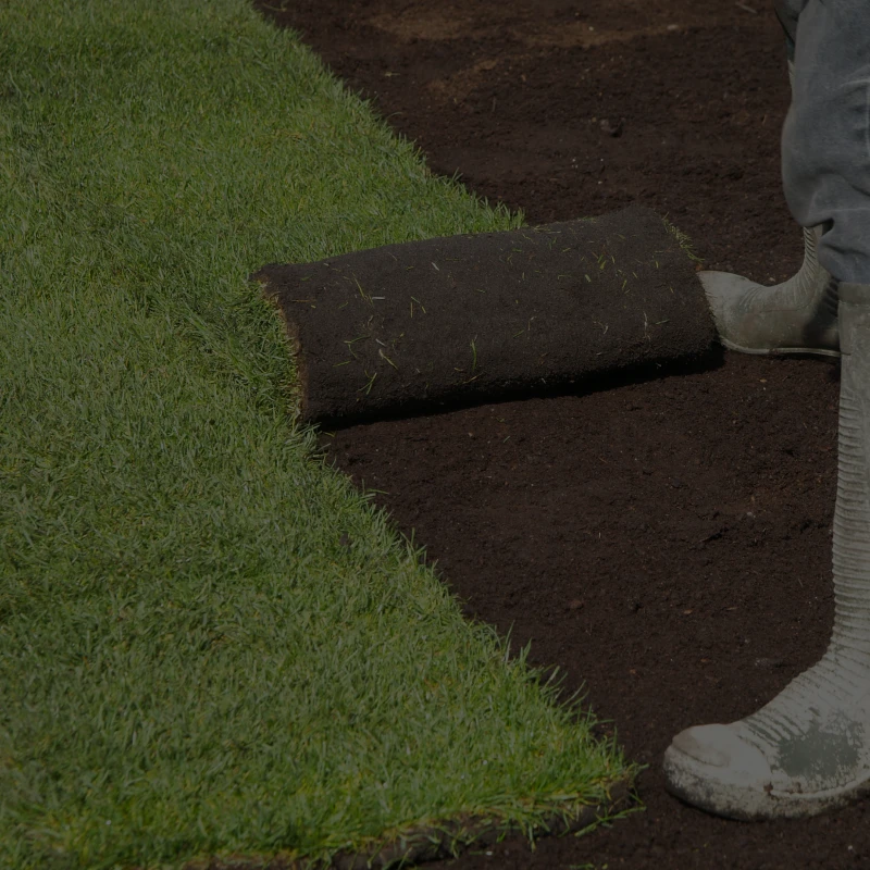 Worker installing new grass turf