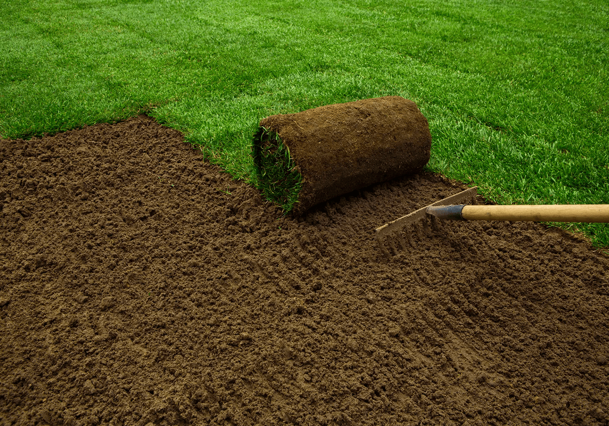 A lawn roller laying fresh turf on soil.