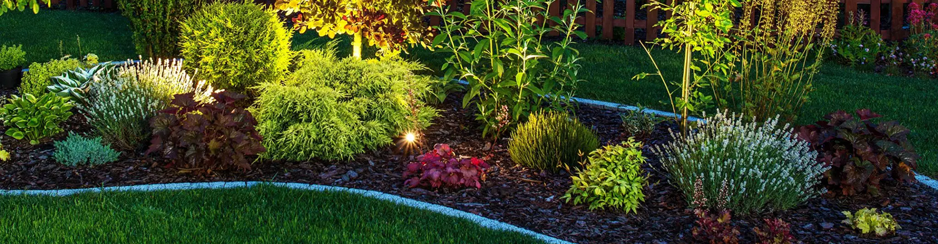 A garden bed with lush plants and soft lighting at dusk.